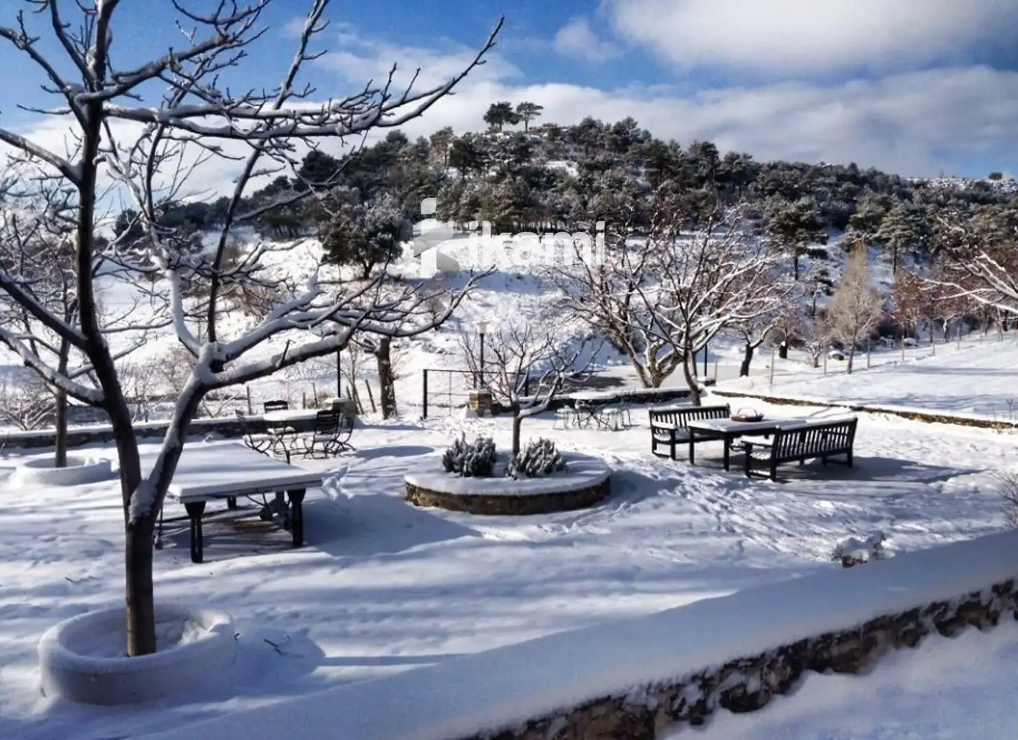 Terrace of Buildings for sale in Huéscar