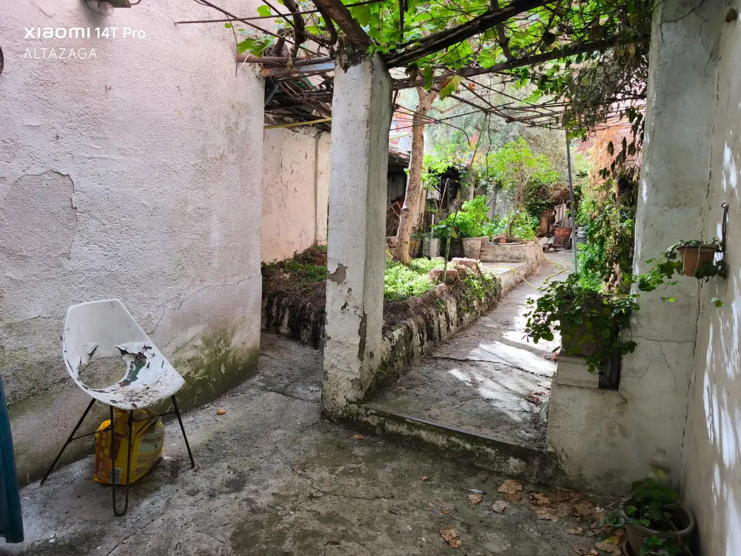 Jardín de Casa o chalet en venta en San Sebastián de los Reyes