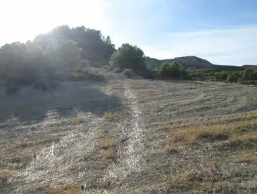 Terrains et parcelles à vendre à Lg Castañeda y Umbrías de La Pinosa, Pol 313, imagen 13