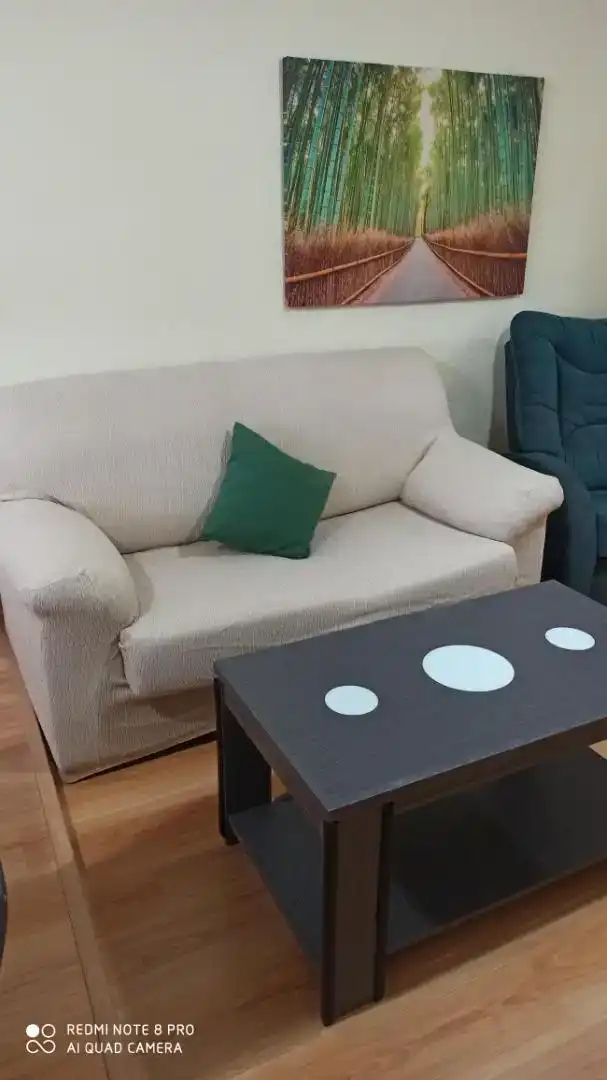 Sala de estar de Piso de alquiler en Madrid con Aire acondicionado, Parquet y Trastero