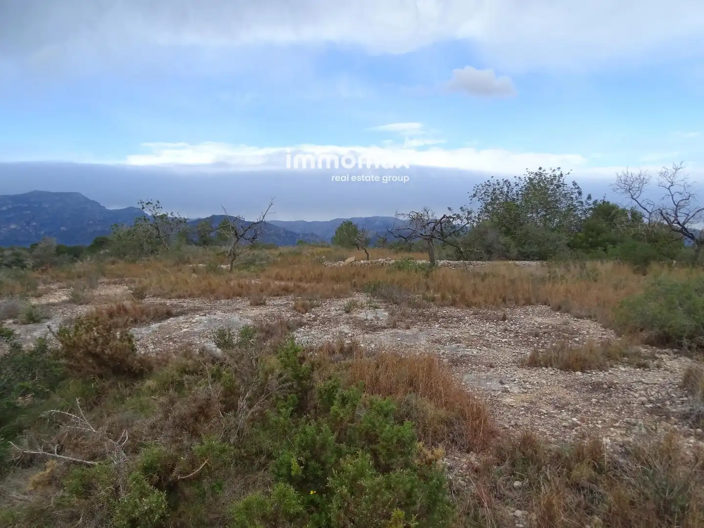 Terrain rustique à vendre à 54