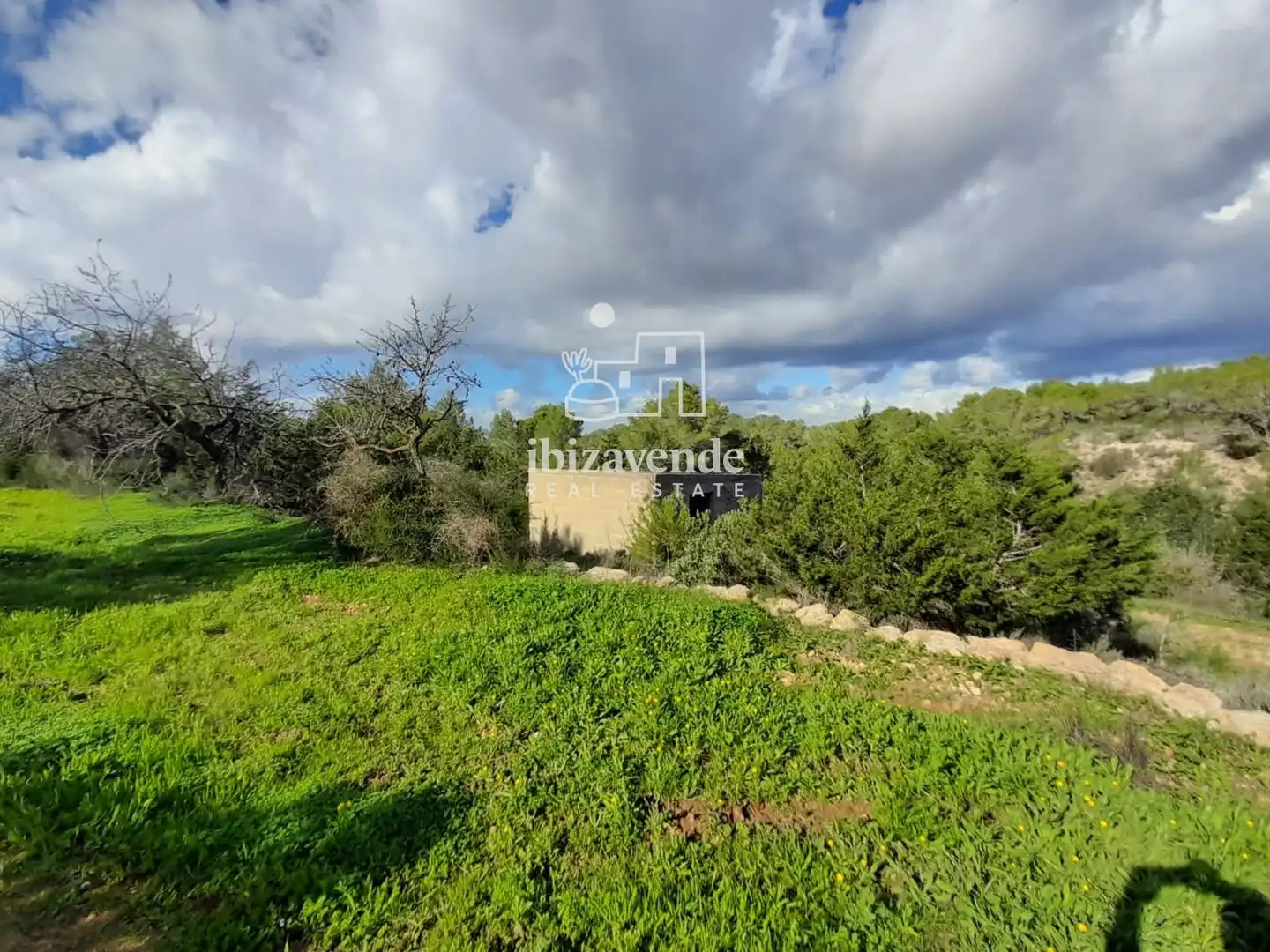 Terreny rústic en venda a de cala tarida, imagen 5