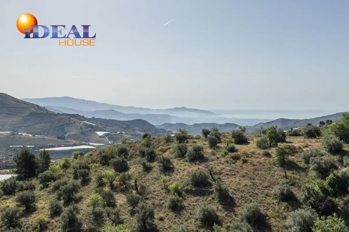 Xalet amb terrassa en venda a Polígono 4 Paraje 36 BARTOLO, imagen 50