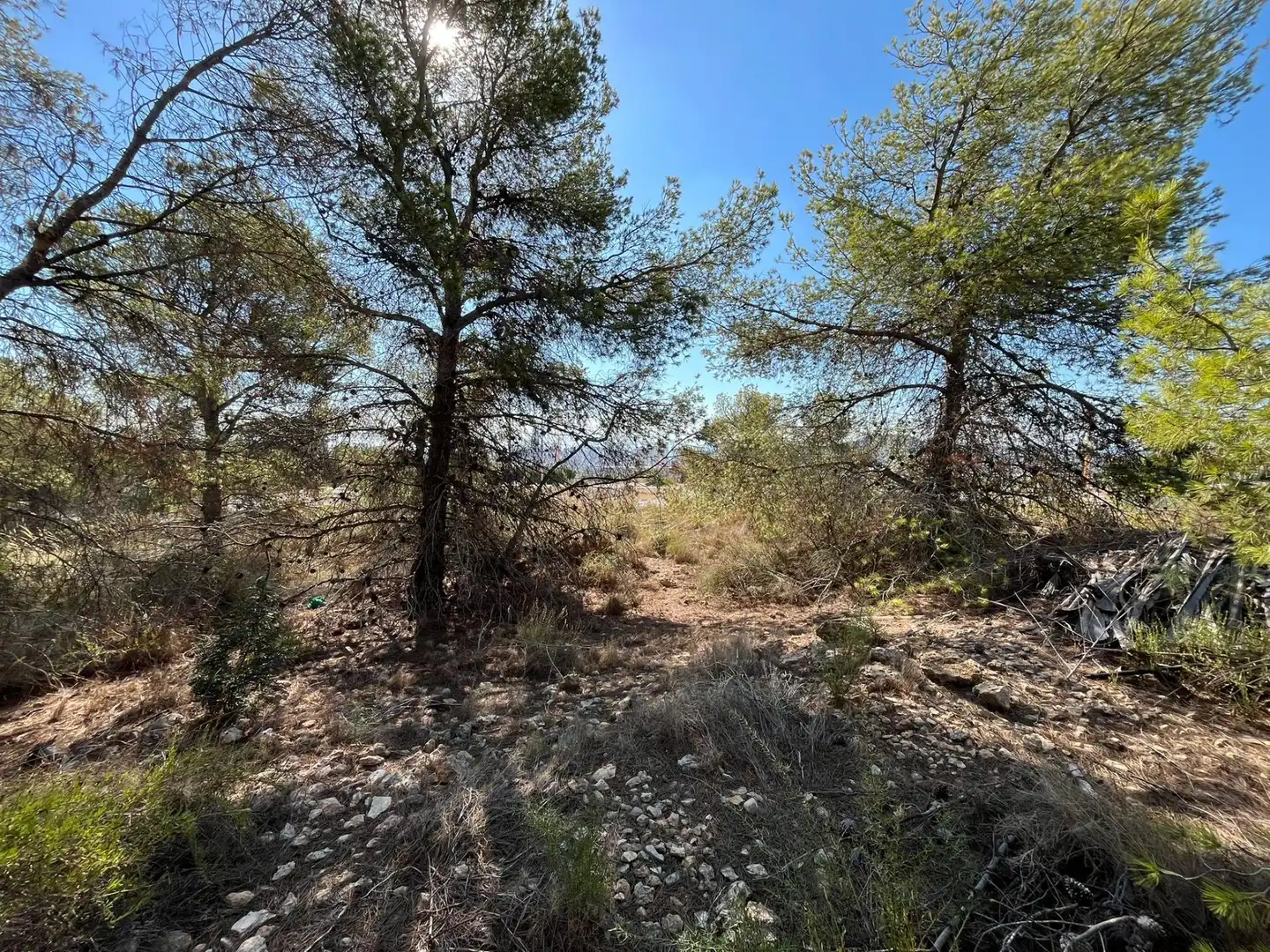 Terrenys i solars en venda a Golf Bahía, imagen 6