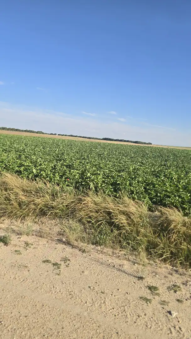 Terreno rustico in vendita a Ontígola, imagen 5