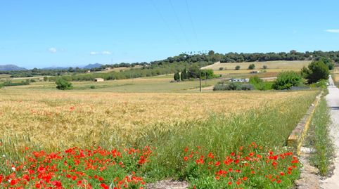 Foto 3 de Finca rústica en venta en Muro, Illes Balears