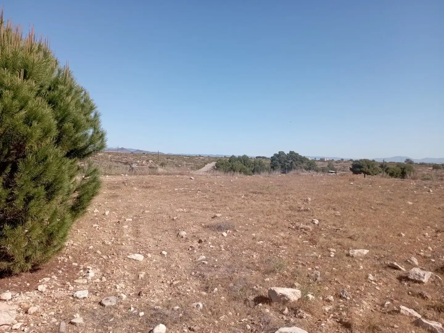 Rustikales Grundstück zum Verkauf in Pasaje Collado Machuno 17, imagen 6