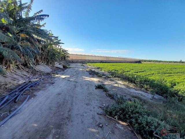Terreno residencial en Venta en Los Tablones - La Garnatilla