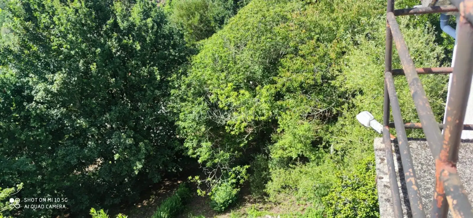 Casa con jardín en venta en Del Val, imagen 49