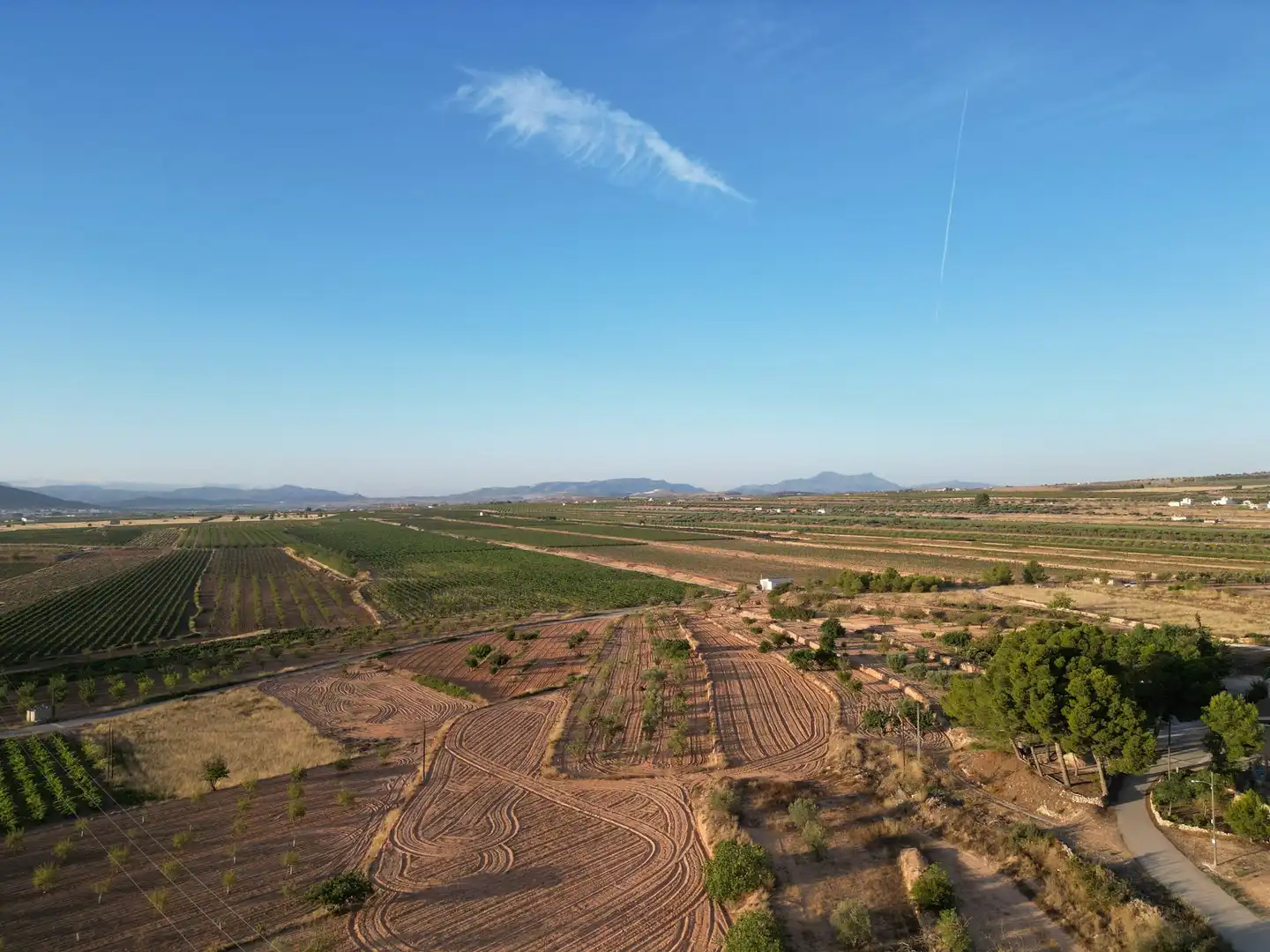 Terreno residencial en venta en El Pinós / Pinoso, imagen 4