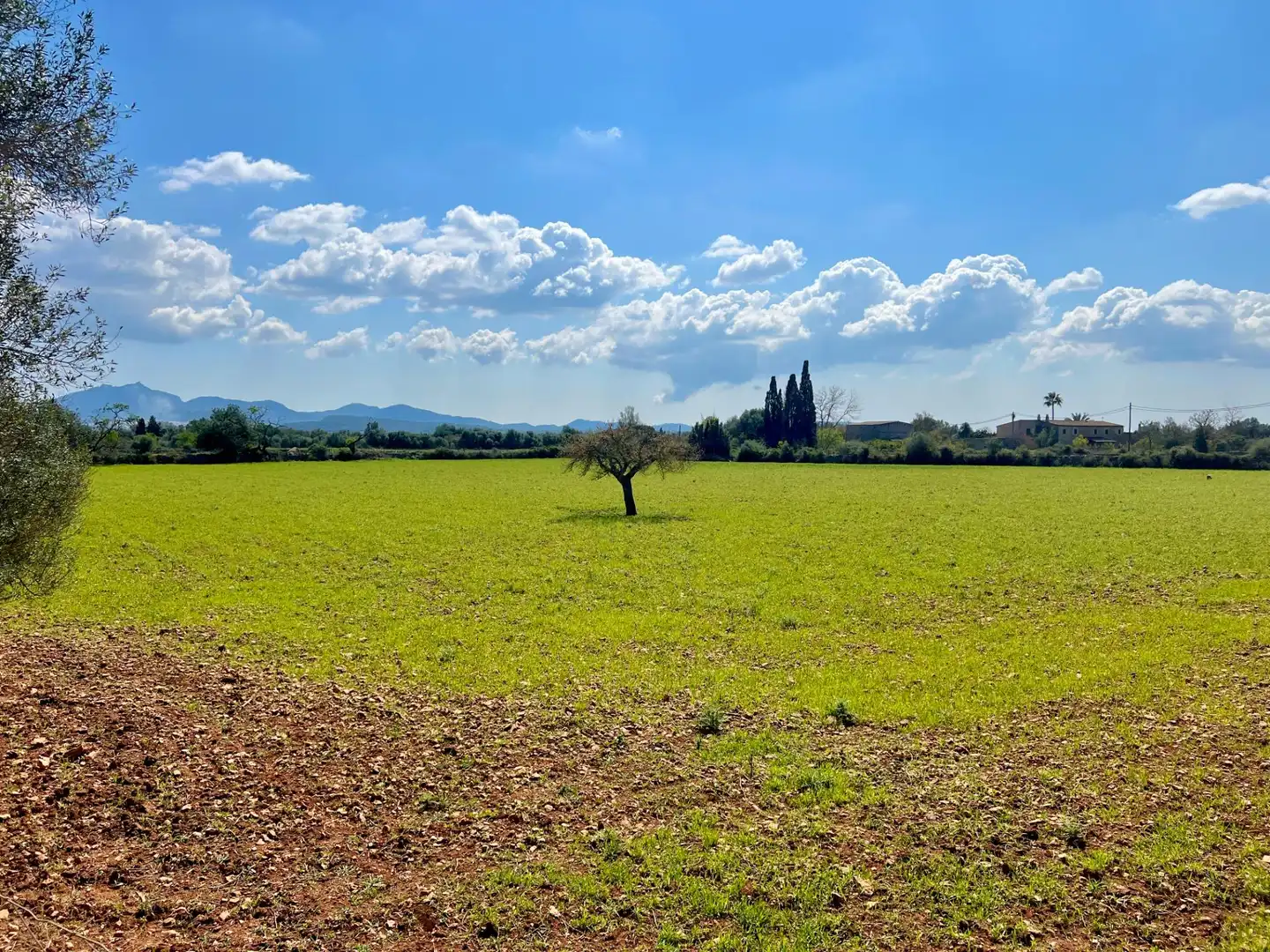 Terreny residencial en venda a Porreres, imagen 10