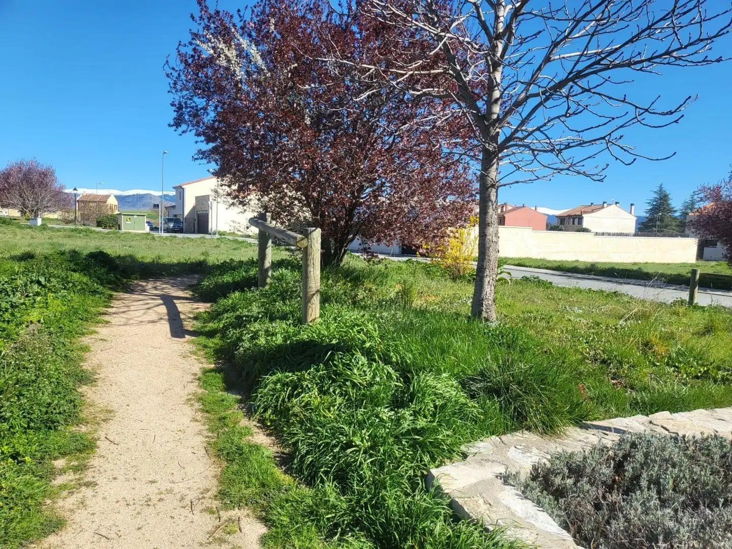 Terreni e lotti in vendita a Área Rural, imagen 2