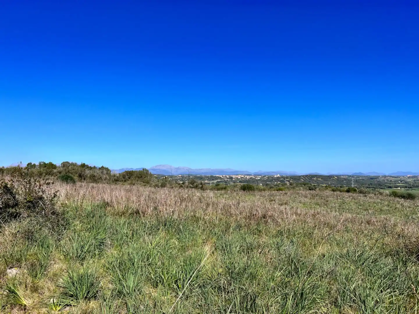 Finca rústica en venta en Petra