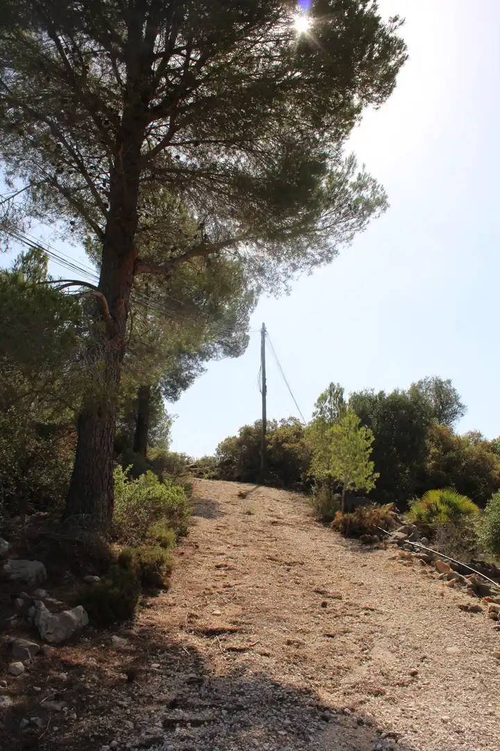 Rural land for sale in Carretera Benissa 32, imagen 6