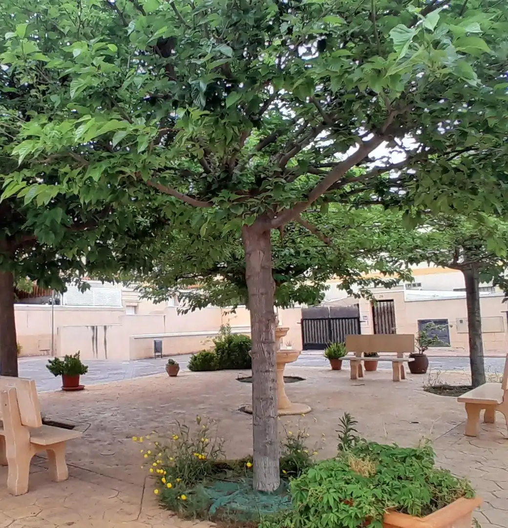Terrace of Houses for sale in Yecla, Murcia