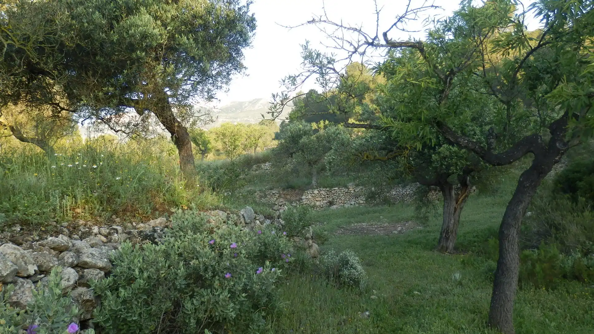 Terreno rustico in vendita a Miravet, imagen 12