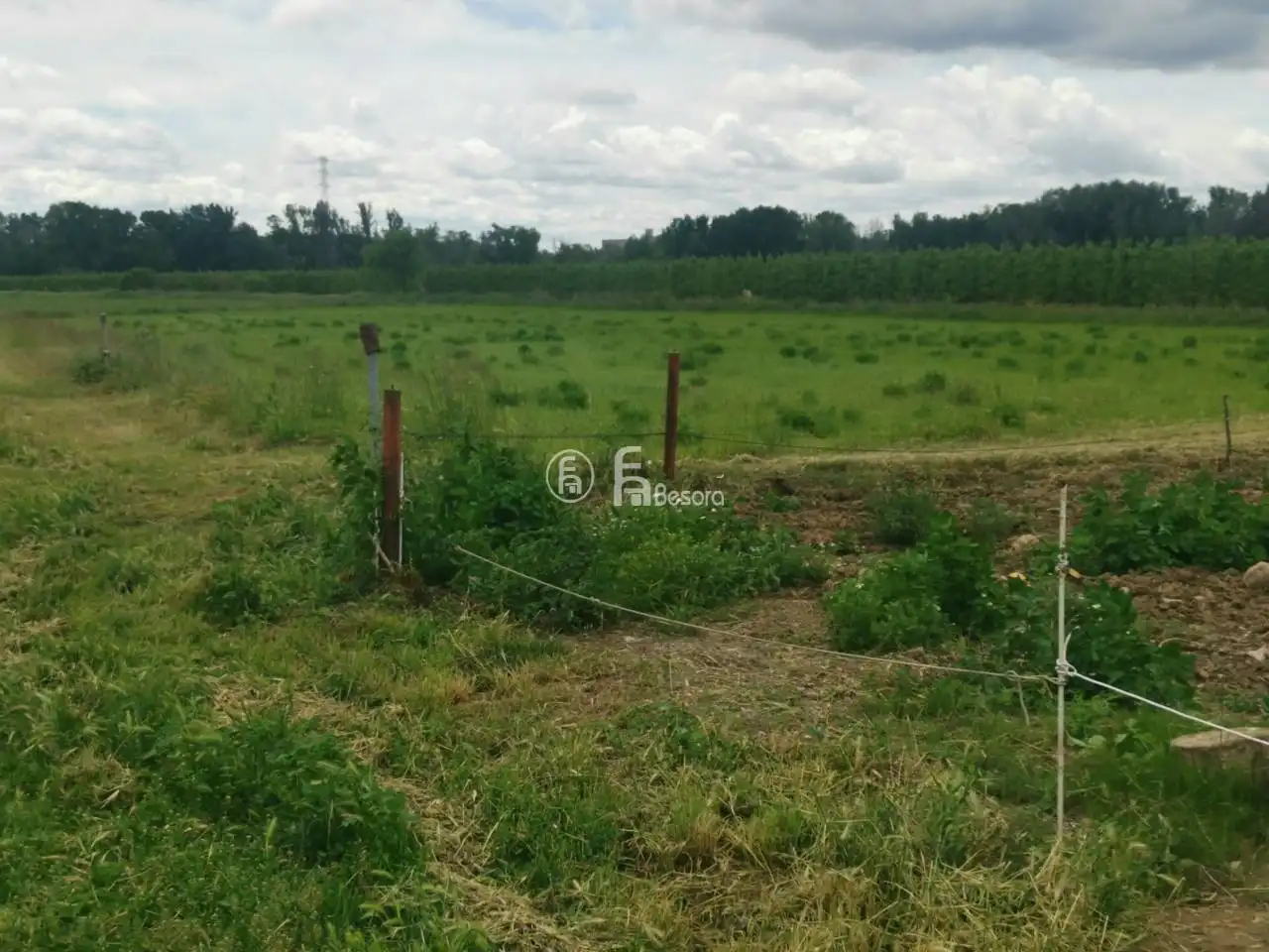 Country homes for sale in Carretera corbins, km 3, Llívia