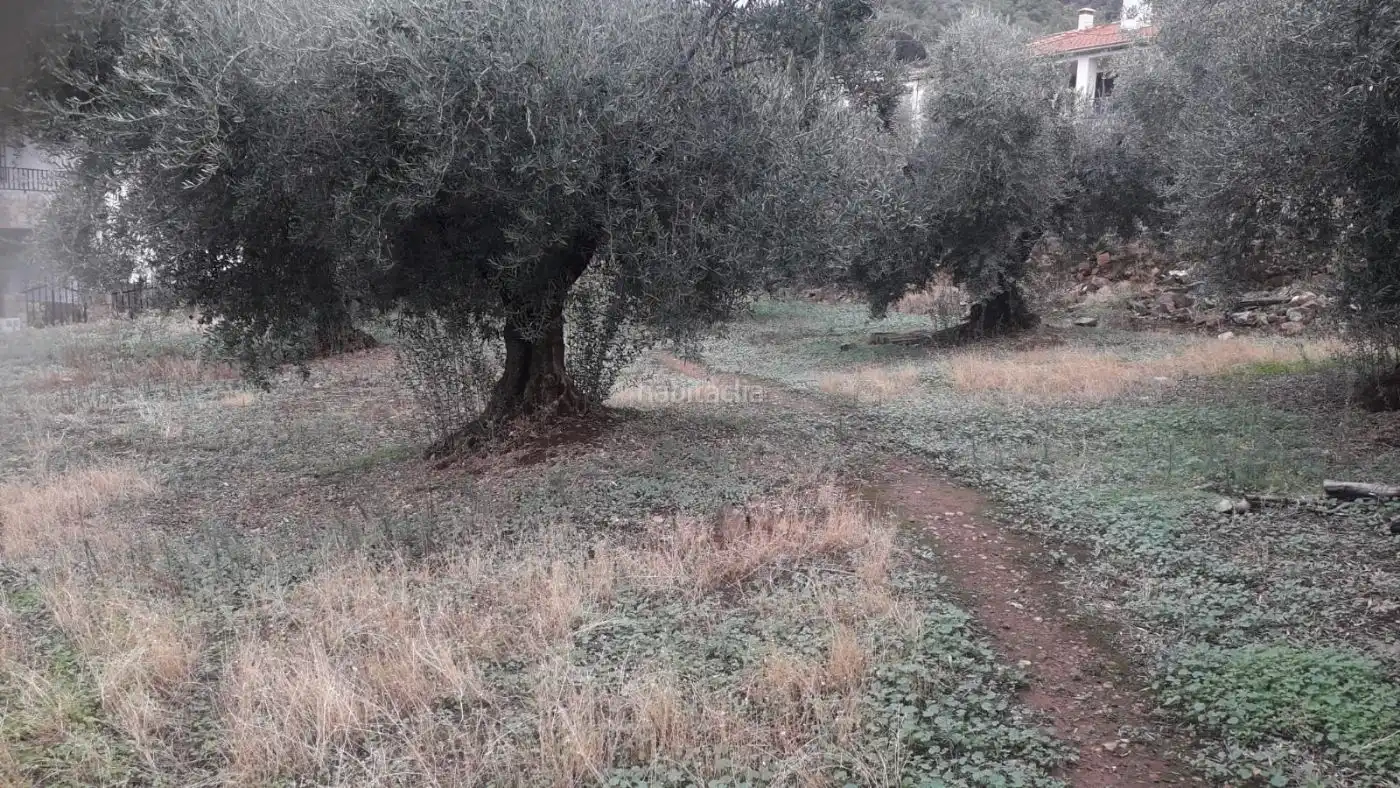 Grundstücke und Bauplätze zum Verkauf in Avenida de Extremadura 1, imagen 3