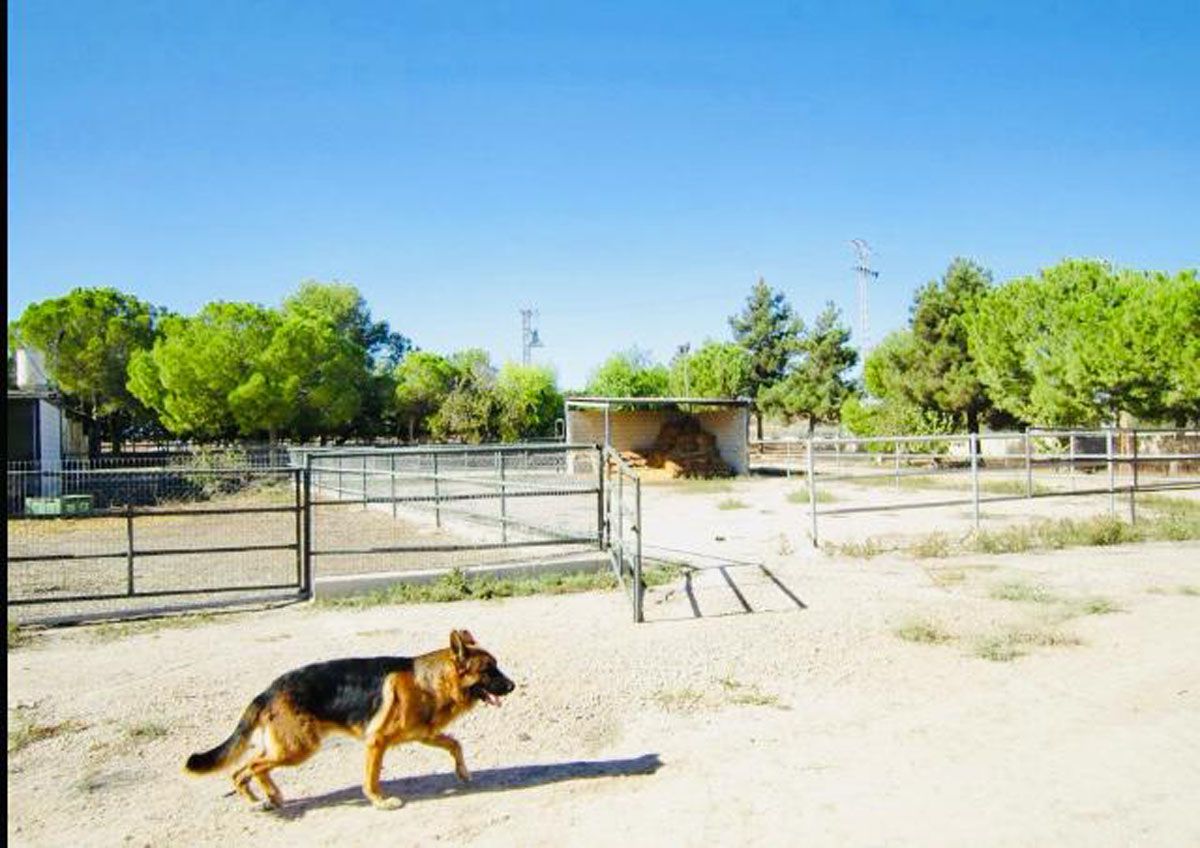 Exterior view of Land for sale in  Murcia Capital