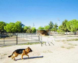 Exterior view of Land for sale in  Murcia Capital