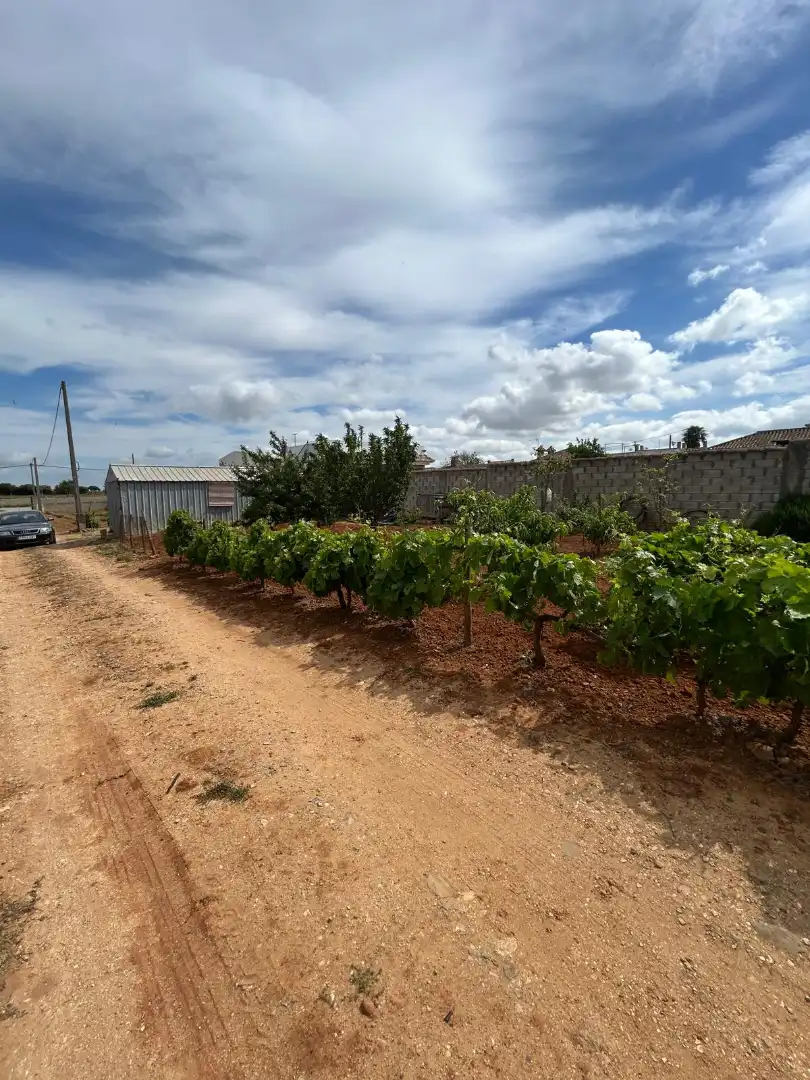 Houses for sale in Chiclana de la Frontera