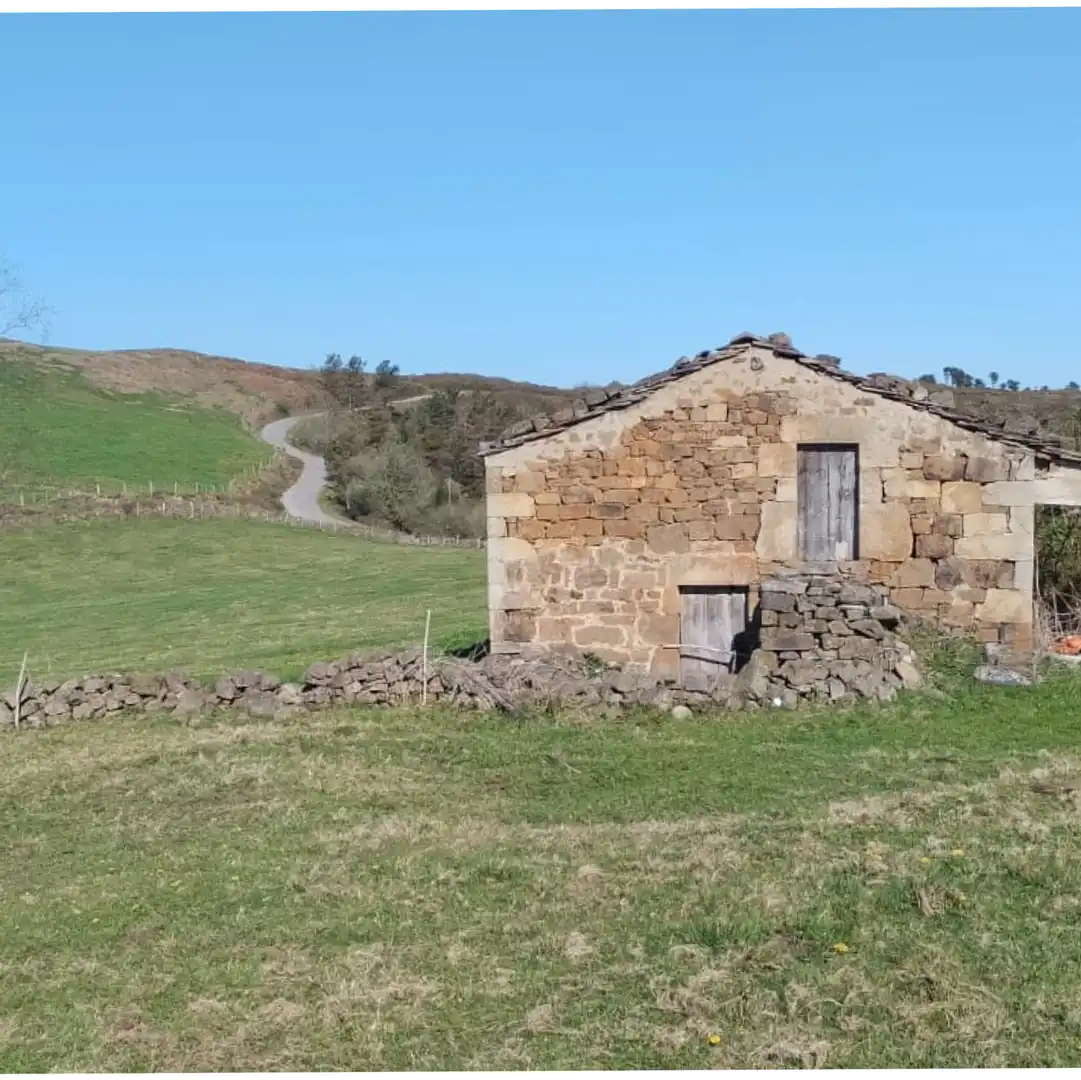 Vista exterior de Finca rústica en venta en Villacarriedo con Jardín privado