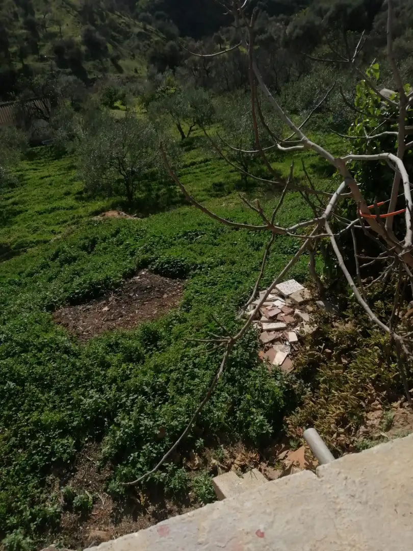 Casa o xalet en venda en Cártama amb Jardí privat, Terrassa i Piscina