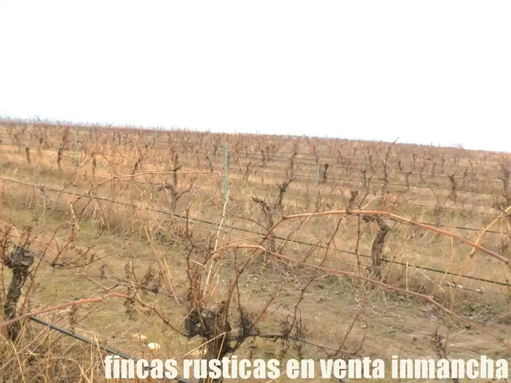 Terreni e lotti in vendita a Sonseca, imagen 13