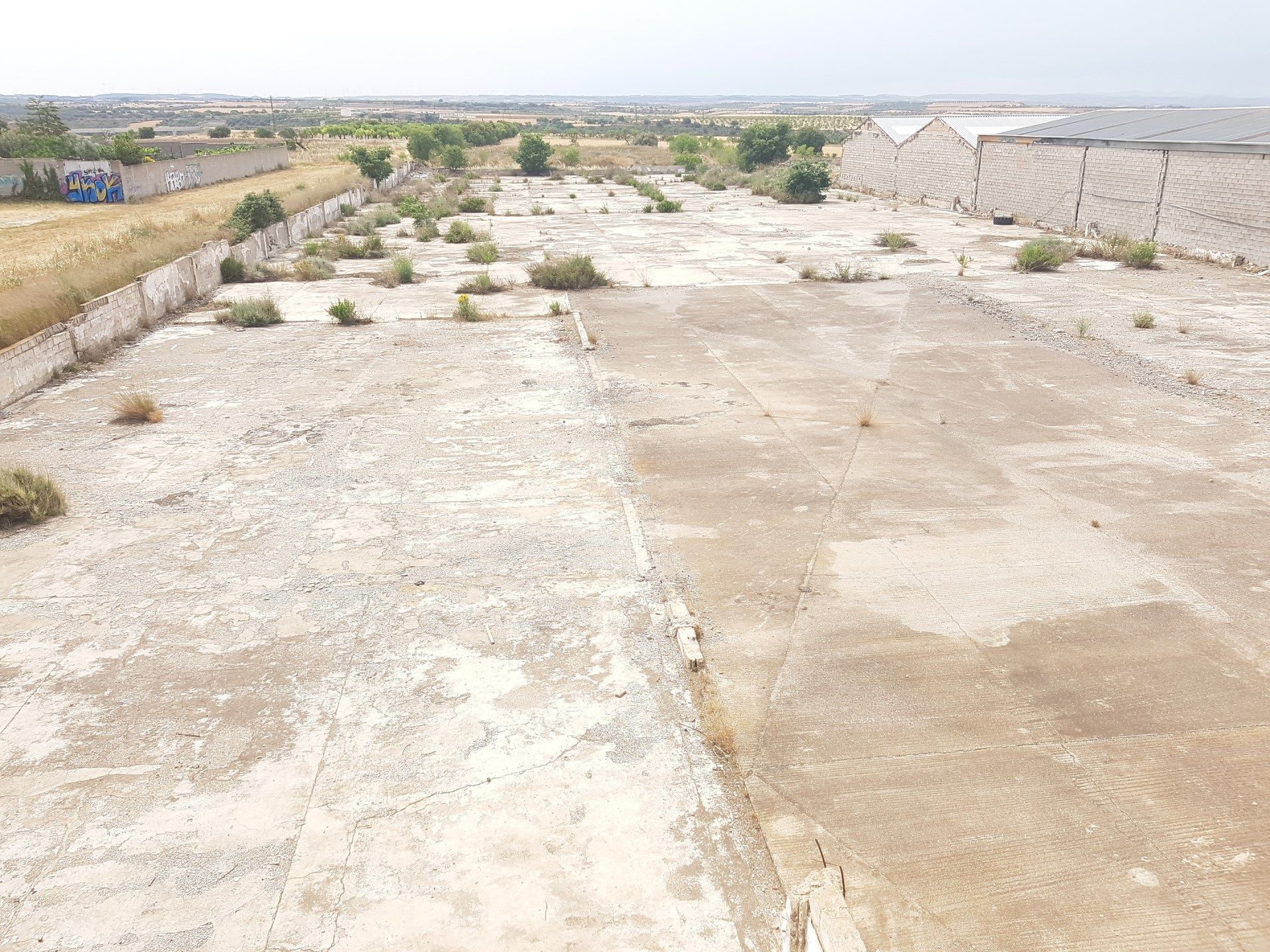 Terreny industrial en venda en Tàrrega