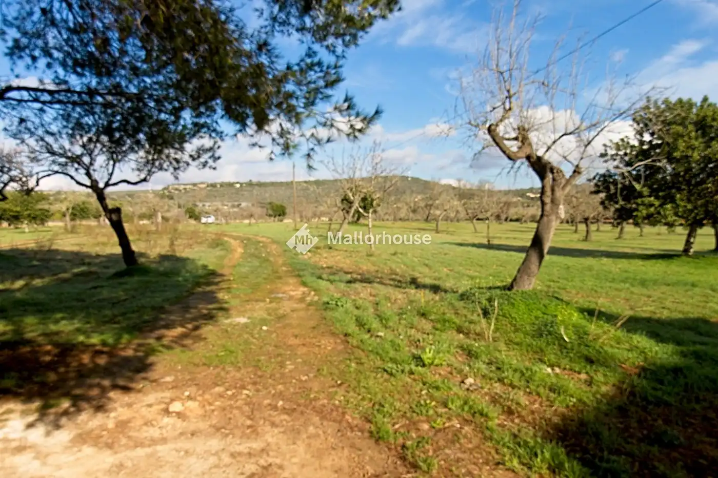 Finca rústica en venda en  Palma de Mallorca amb Jardí privat, Terrassa i Traster
