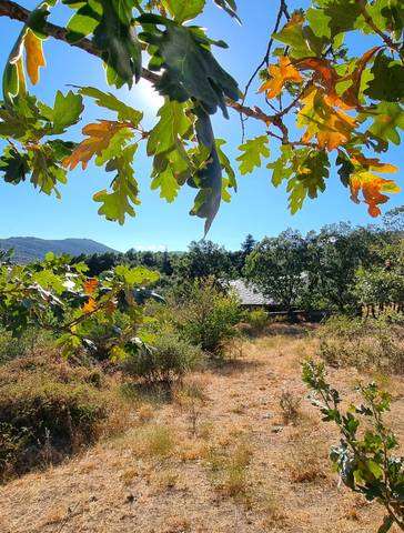 Terreno en Venta en Carretera de Valdemanco, 33 en Bustarviejo