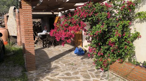 Finca rustica en Tortosa, imatge 3