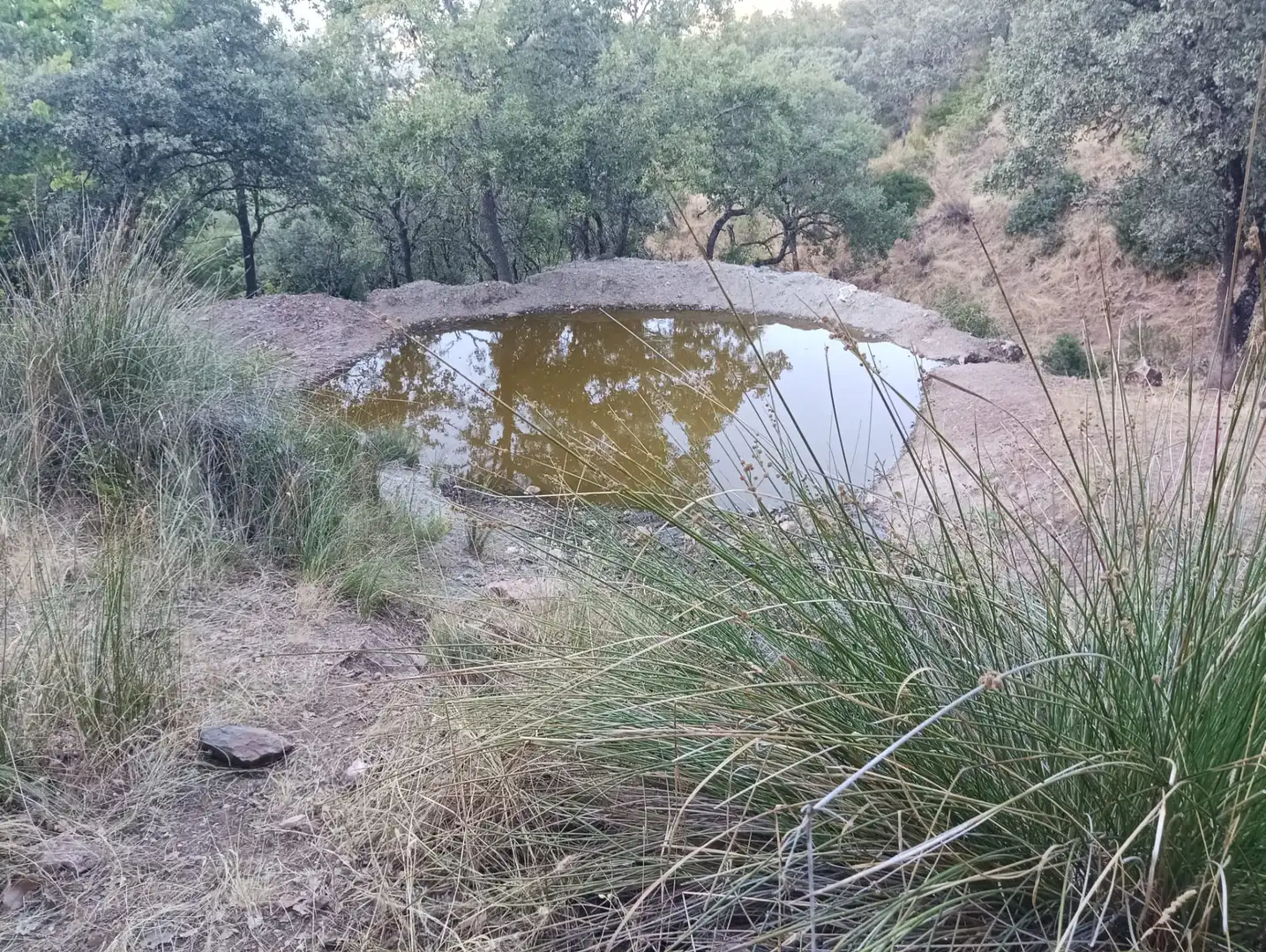 Swimming pool of Land for sale in Córdoba