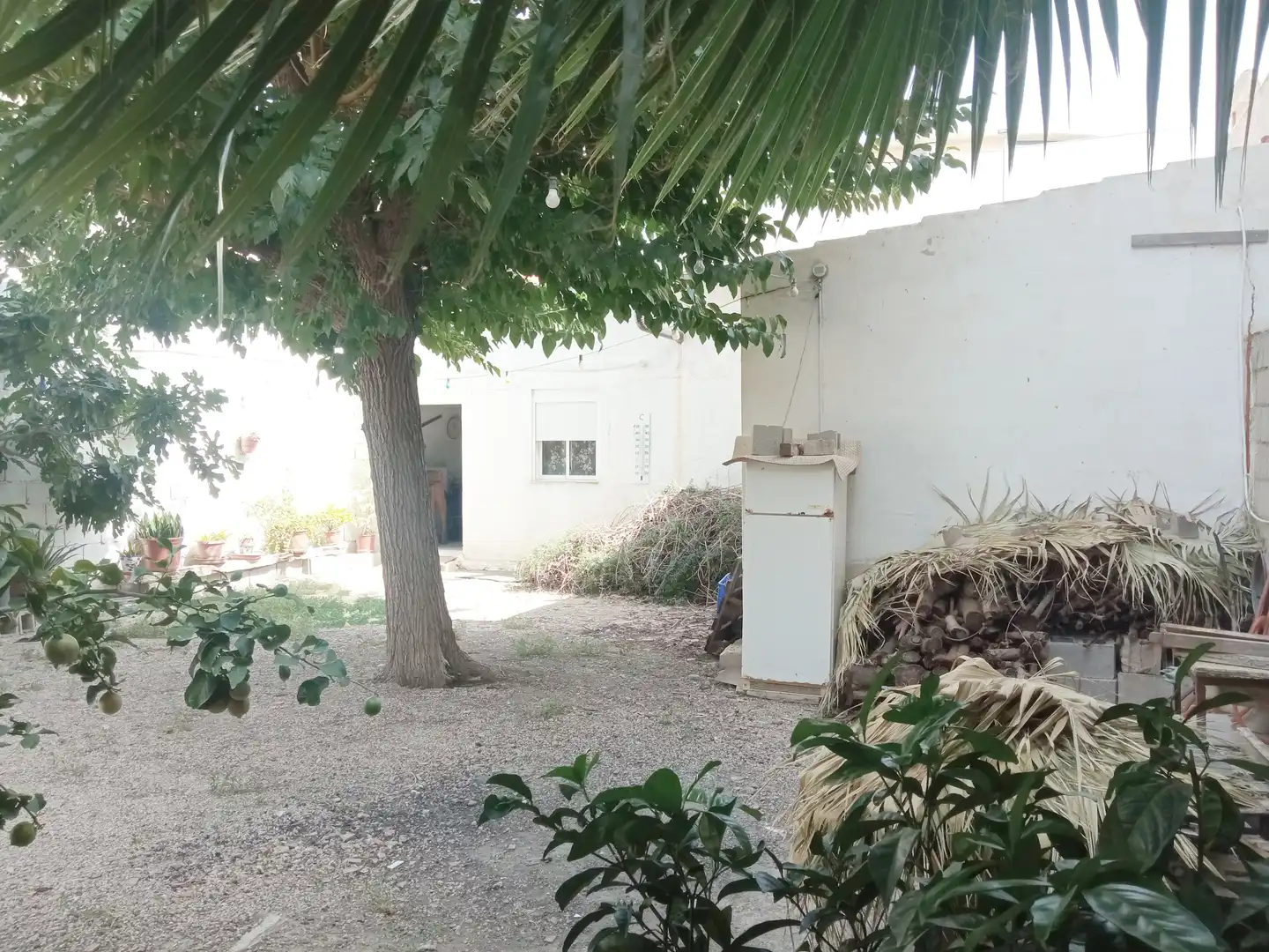 Mixto residencial en venta en Calle Luis Vives M 6, imagen 10