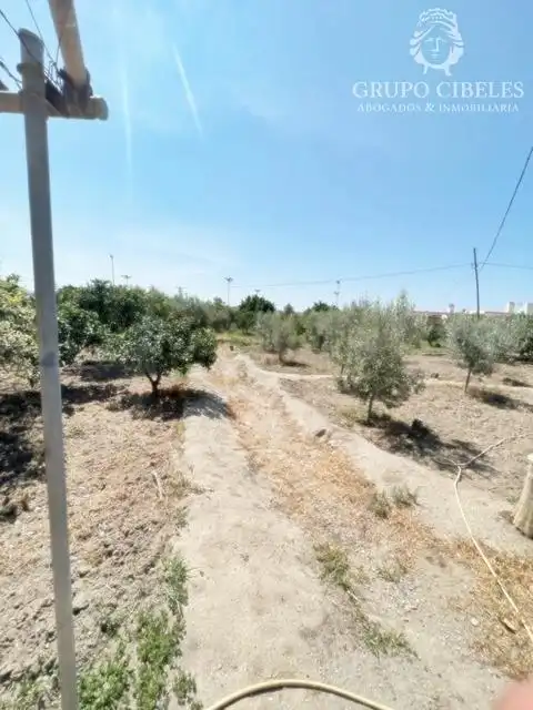 Finca rústica en venta en Pechina