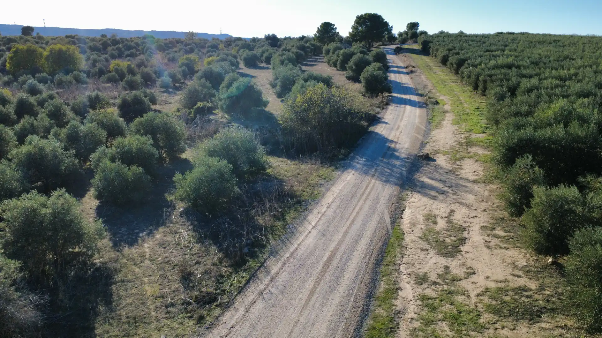 Terreny rústic en venda a Les Borges Blanques, imagen 9