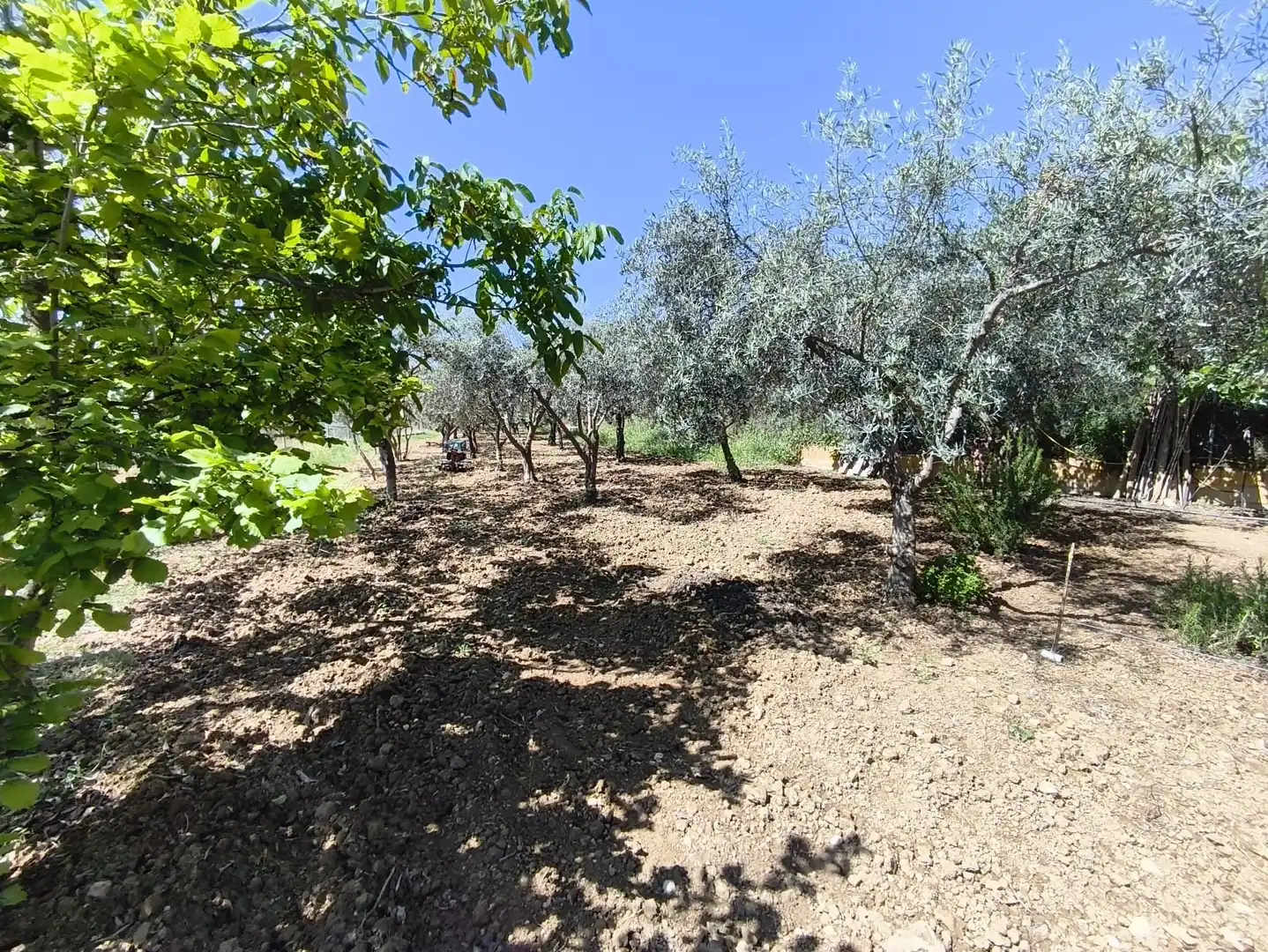 Finca rústica en venta en Vélez-Blanco con Aire acondicionado, Calefacción y Jardín privado