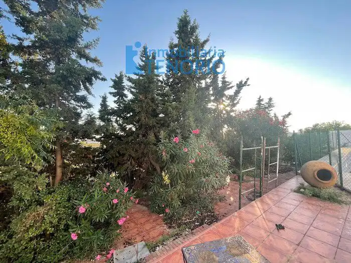 Jardín de Casa o chalet en venta en El Rompido con Terraza