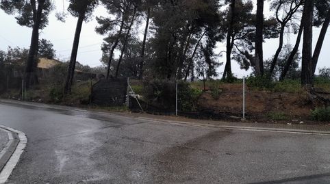 Terreno plano , soleado y cercano al centro urbano, immagine 2