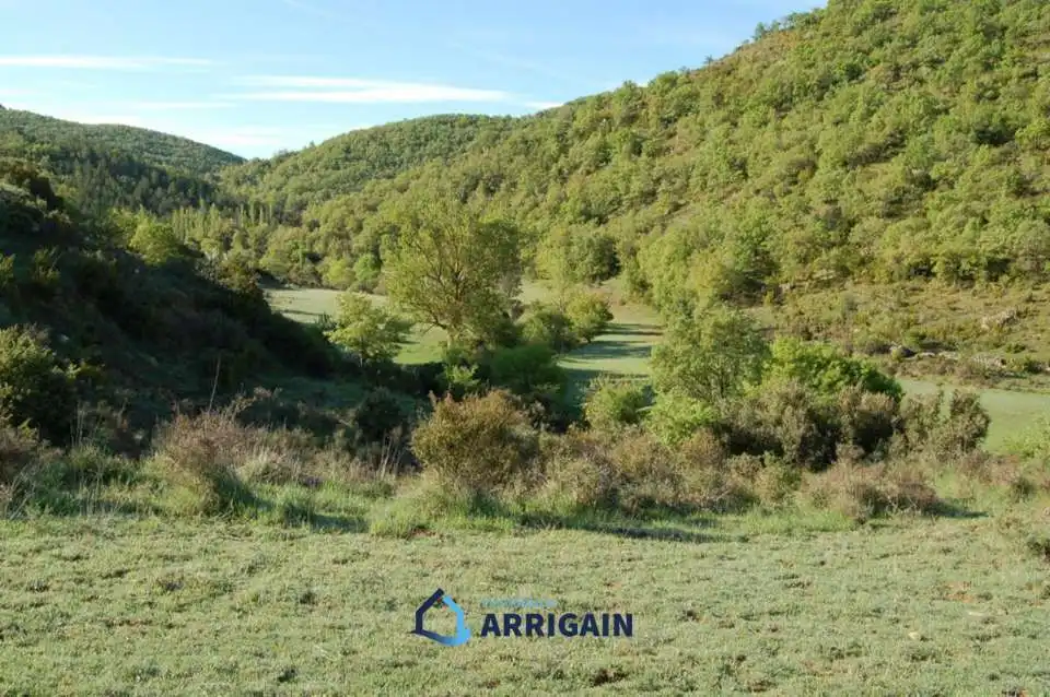 Casa o chalet en venta en La Moraleja con Jardín privado