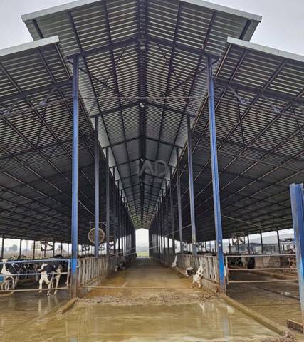 Terreno en Venta en Lucillos