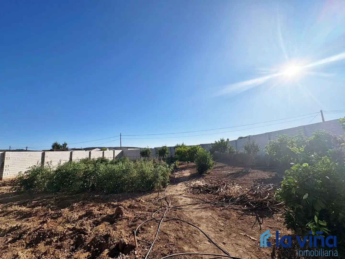 Rural land for sale in Mollina, imagen 8