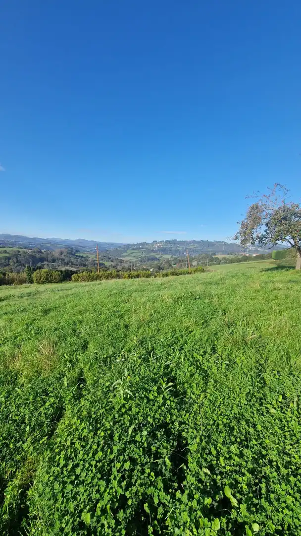 Terreny residencial en venda a San Claudio - Trubia - Las Caldas