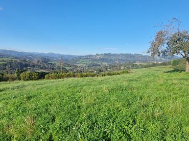 Terreno residenziale in vendita a San Claudio - Trubia - Las Caldas