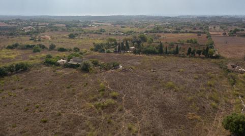 Photo 5 of Land for sale in Sa Gruta, Manacor Centre, Manacor