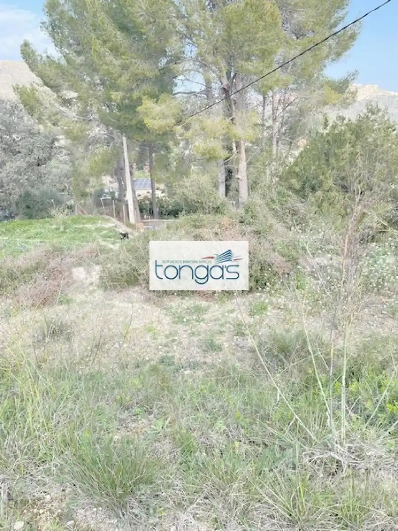 Terreny residencial en venda a Xàtiva, imagen 5