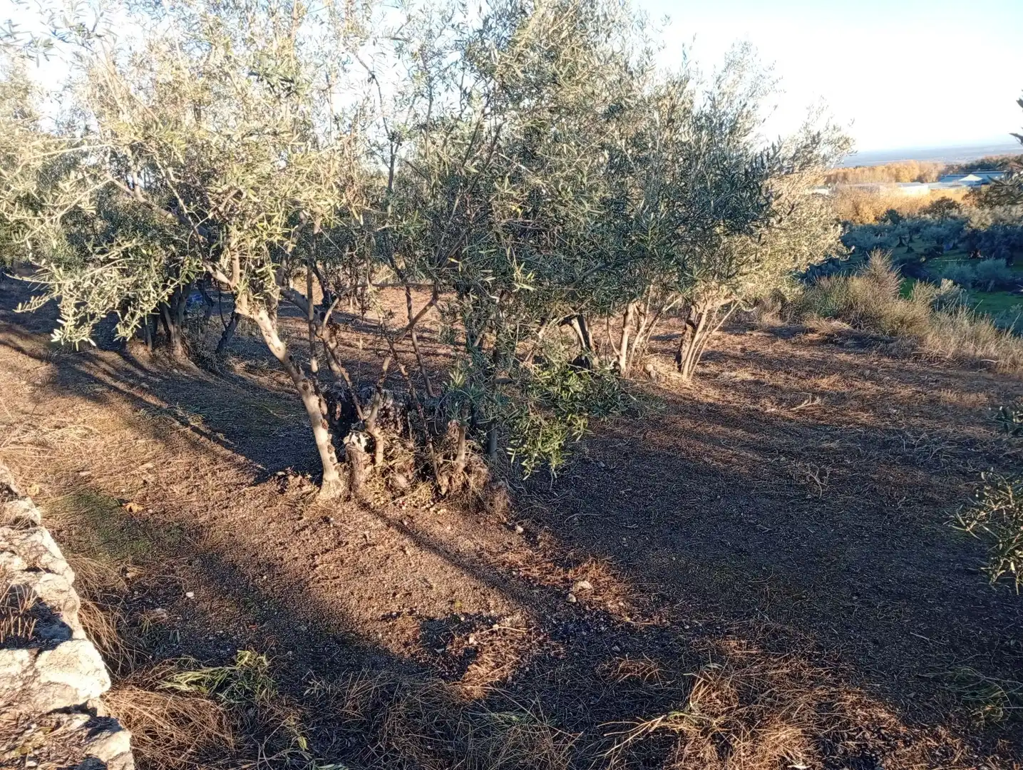 Terreni e lotti in vendita a Villanueva de la Vera, imagen 10