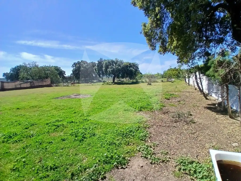 Haus oder Chalet zum Verkauf in Urbanizacion Pinares Los, Las Vaguadas