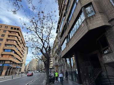 Business premises for sale in Extramurs