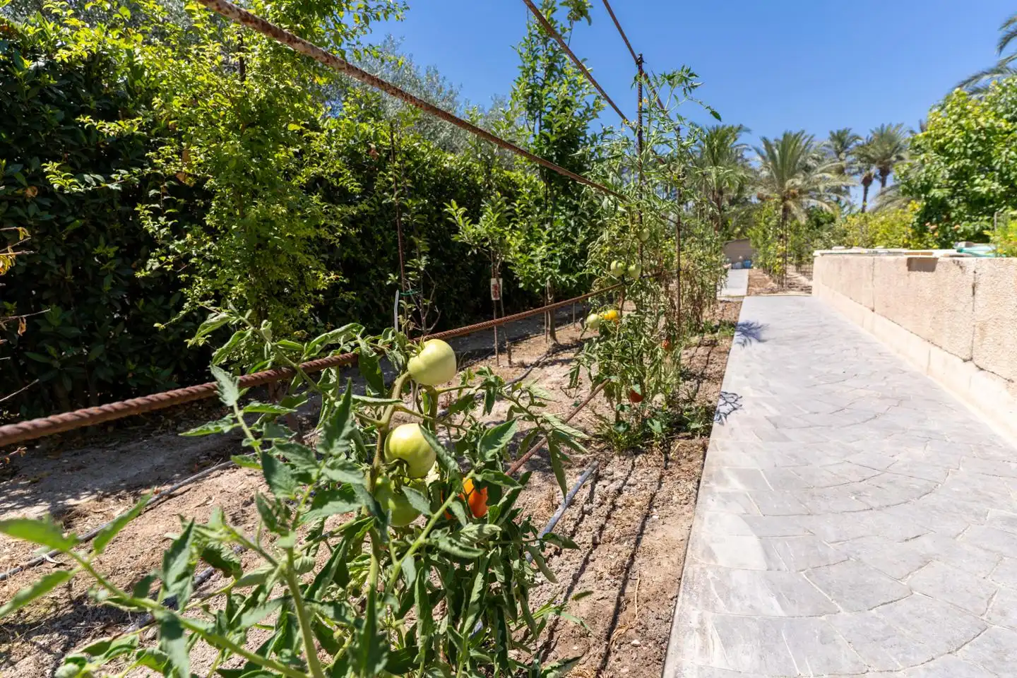 Garden of Houses for sale in Elche / Elx  with Air Conditioner, Private garden and Terrace
